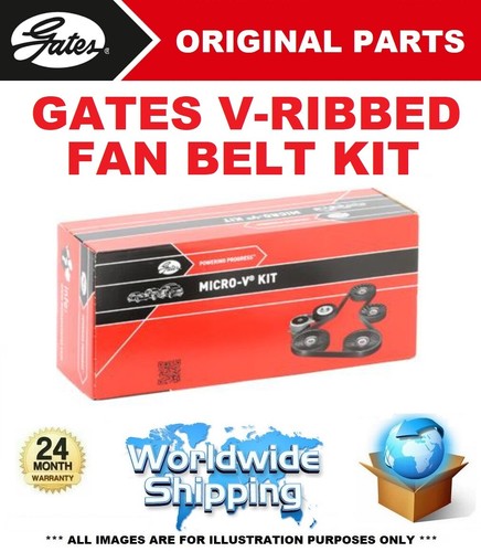 Gates rib fan belt - gates,